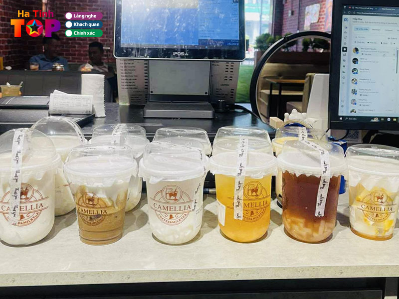 Camellia-hatinhtoplist