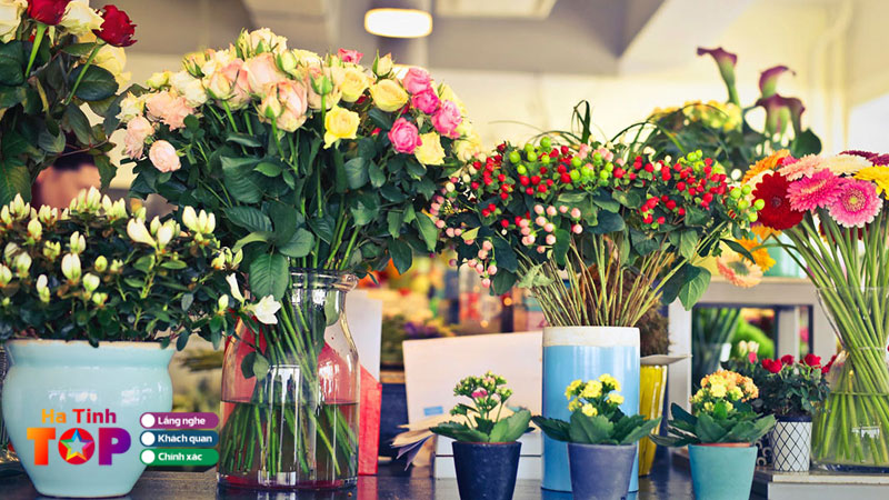 Top-5-shop-hoa-gia-tai-ha-tinh-dep-da-dang-mau-ma-hatinhtoplist